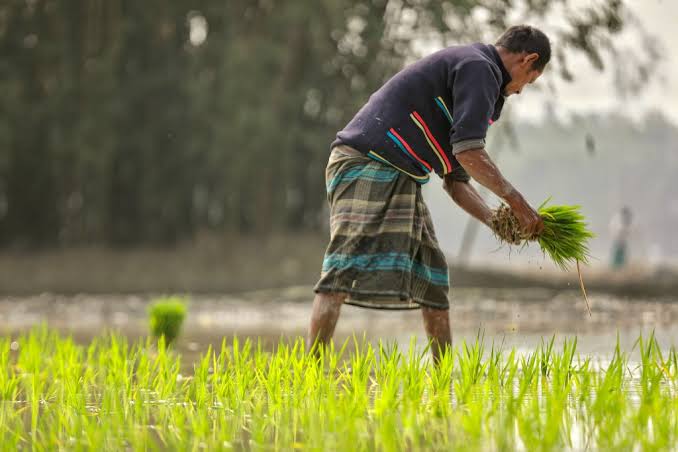 Agriculture